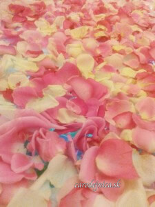 Ružové lupene lásky